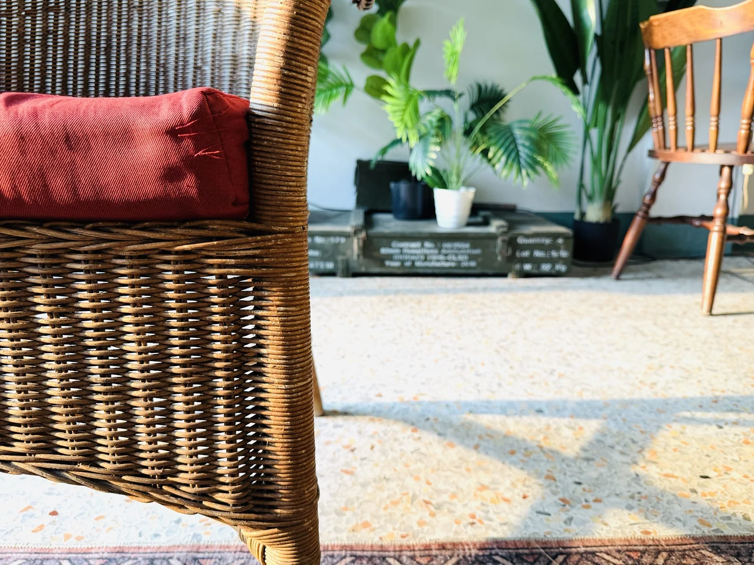 Hostel seating area with plants